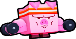 Gym Piggy Pet