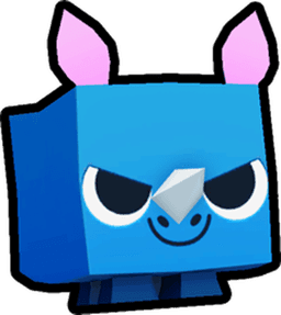 Rhino Pet