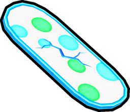 Hoverboard | Egg Hoverboard