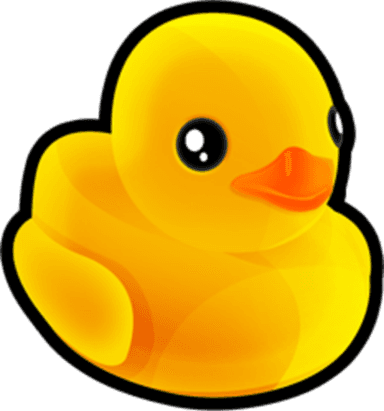 Squeaky Toy