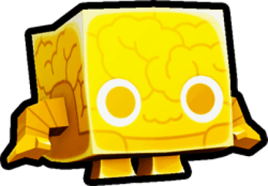 Brain