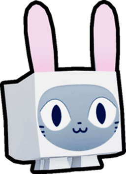 Bunny Cat Pet
