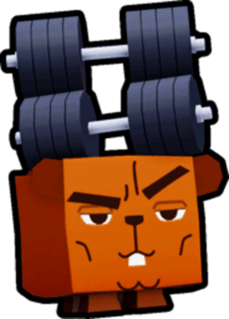 Gym Beaver Pet