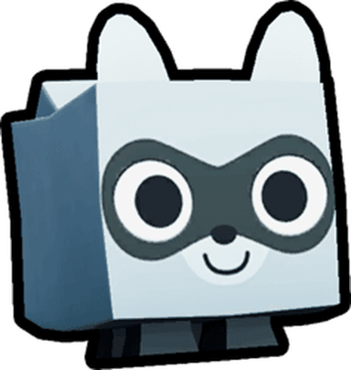 Raccoon