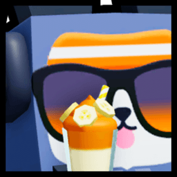 Huge Gym Panda Pet
