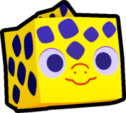 Moray Eel Pet