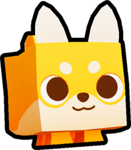 Shiba Pet
