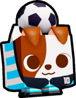 Soccer Terrier Pet