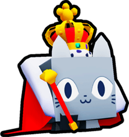 Exquisite Cat Pet