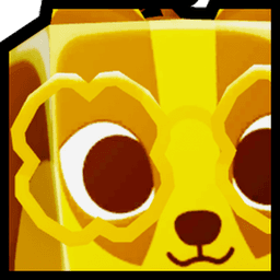 Golden Huge Irish Badger Pet