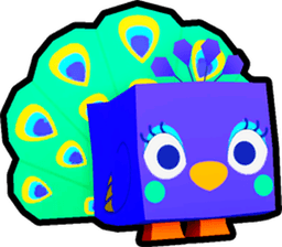Peacock Pet
