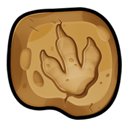 Fossil Token Misc