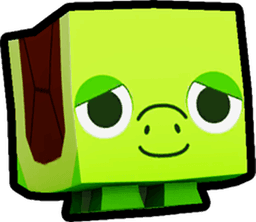 Turtle Pet