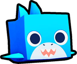 Shark Pet