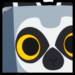 Huge Lemur Pet
