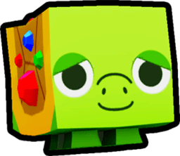 Treasure Turtle Pet