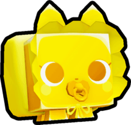 Golden Baby Kitten Pet