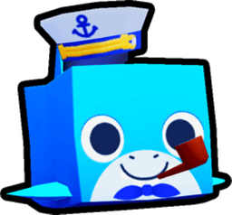 Sailor Shark Pet