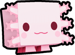 Axolotl Pet