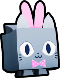 Easter Cat Pet