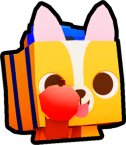 Student Corgi Pet