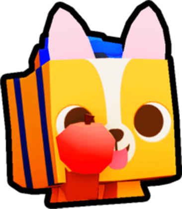 Student Corgi