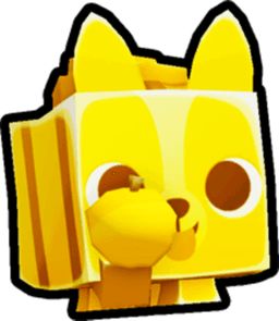 Golden Student Corgi Pet
