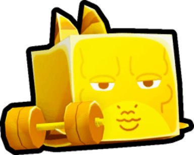 Gym Shark