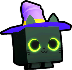 Witch Cat Pet
