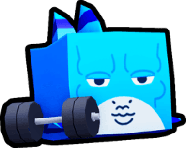 Gym Shark