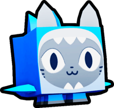 Shark Cat