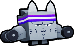 Gym Cat Pet