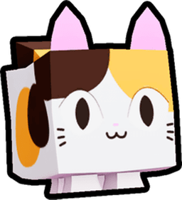 Calico Cat Pet