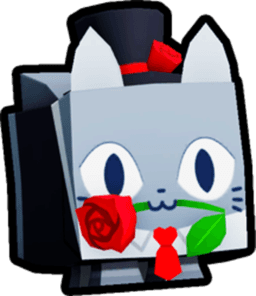 Rose Cat Pet