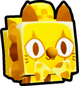 Golden Clown Cat Pet