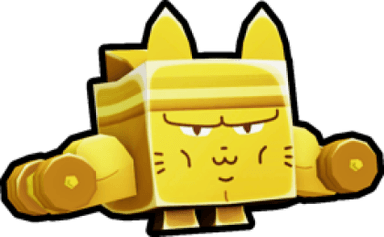 Gym Cat